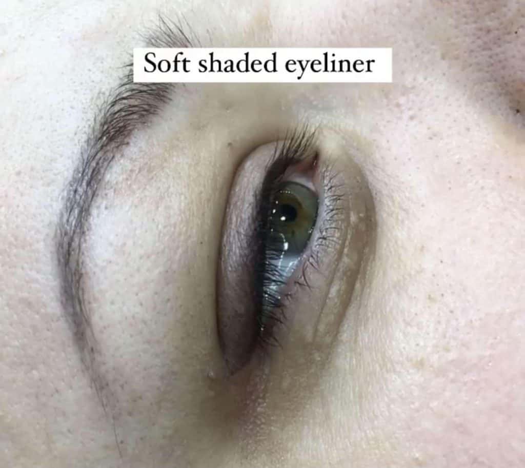 Comparison of soft-shaded and winged eyeliner styles on two different models