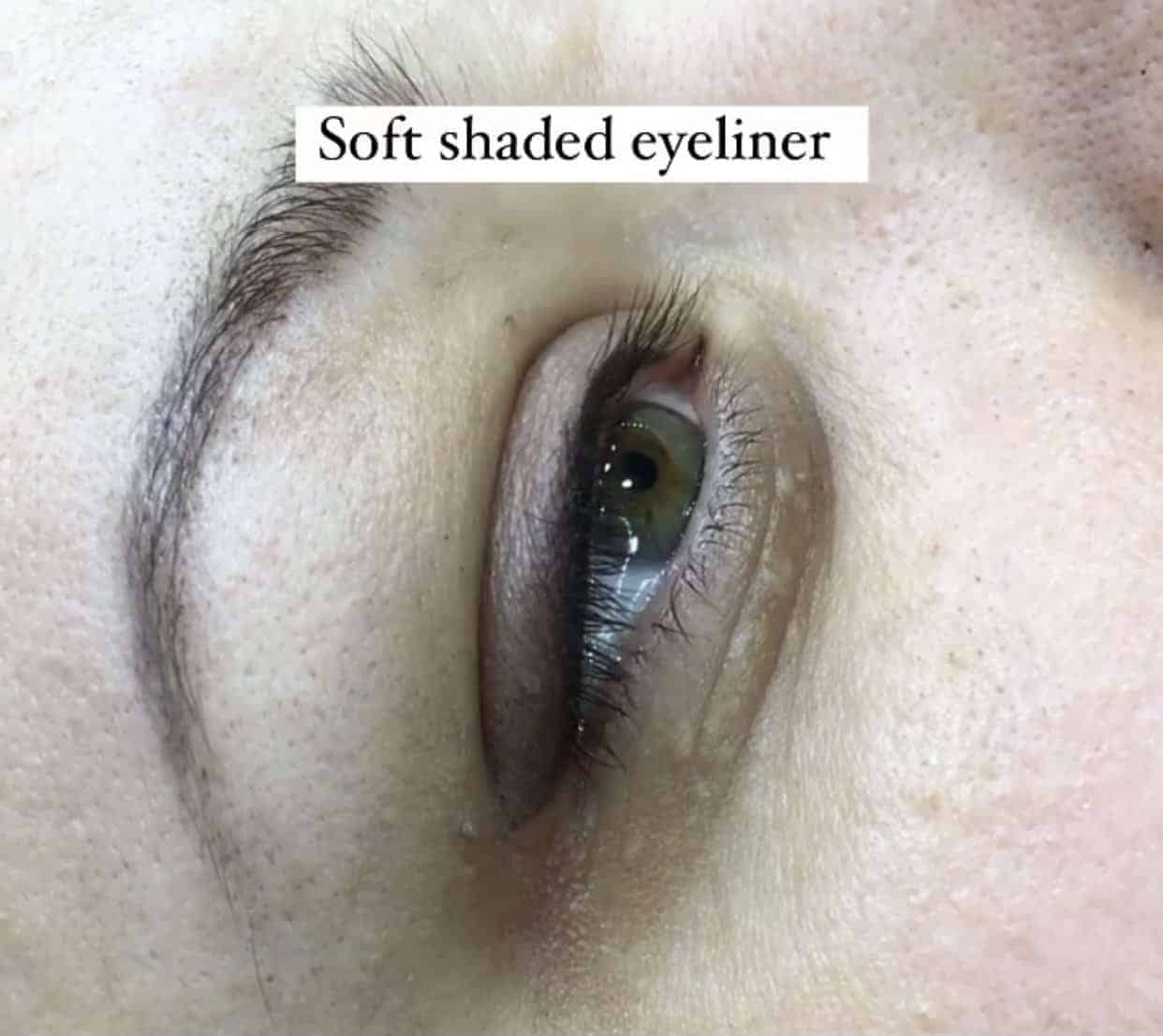 Comparison of soft-shaded and winged eyeliner styles on two different models
